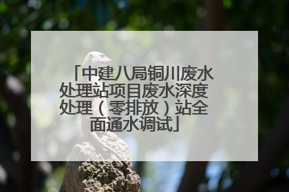 中建八局铜川废水处理站项目废水深度处理（零排放）站全面通水调试